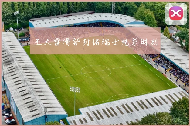 王大雷滑铲封堵瑞士绝杀时刻