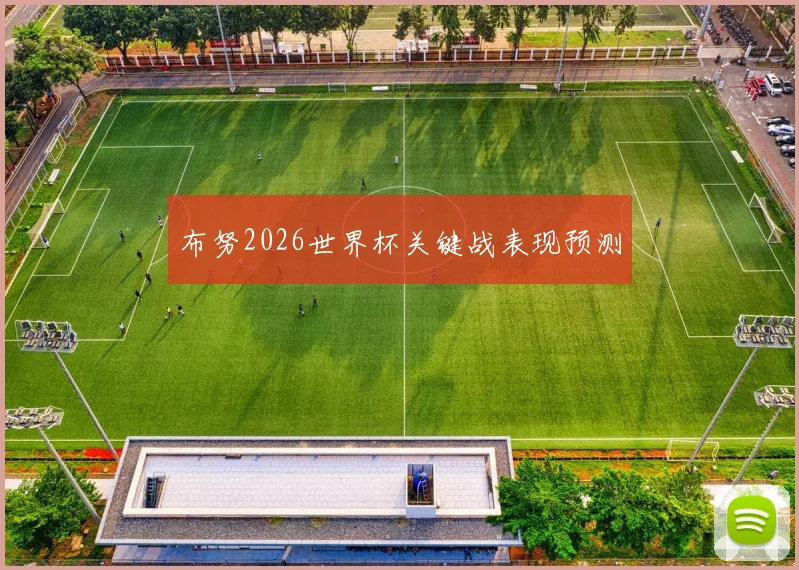 布努2026世界杯关键战表现预测