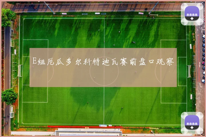 E组厄瓜多尔科特迪瓦赛前盘口观察