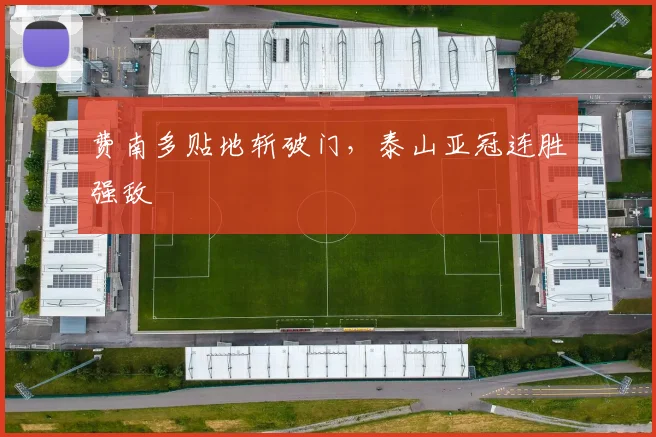 费南多贴地斩破门，泰山亚冠连胜强敌
