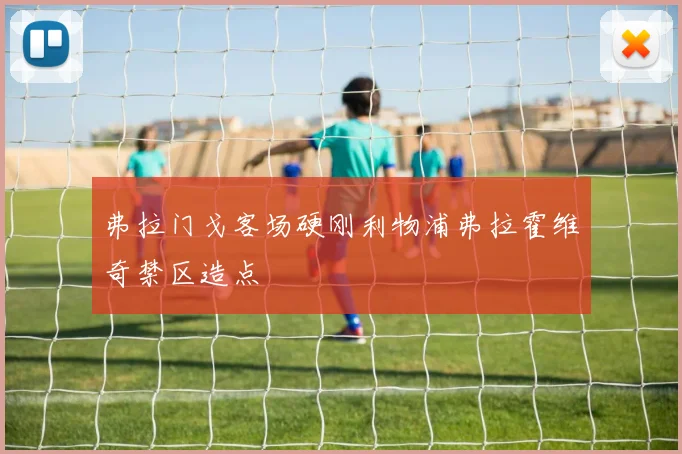 弗拉门戈客场硬刚利物浦弗拉霍维奇禁区造点