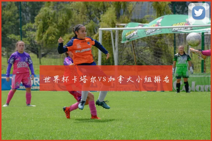 世界杯卡塔尔vs加拿大小组排名