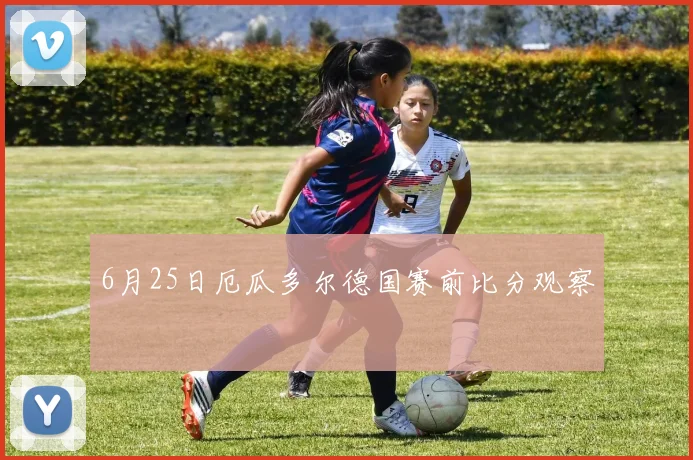 6月25日厄瓜多尔德国赛前比分观察