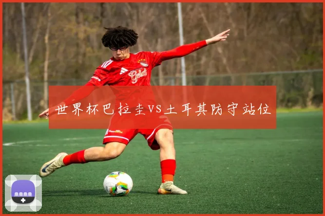 世界杯巴拉圭vs土耳其防守站位